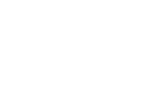 dmh logo
